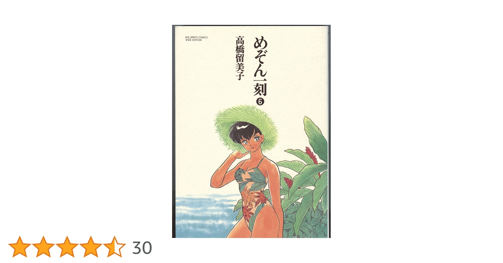 めぞん一刻 6 (BIG SPIRITS COMICS 特製ワイド版) | 高橋 留美子 |本